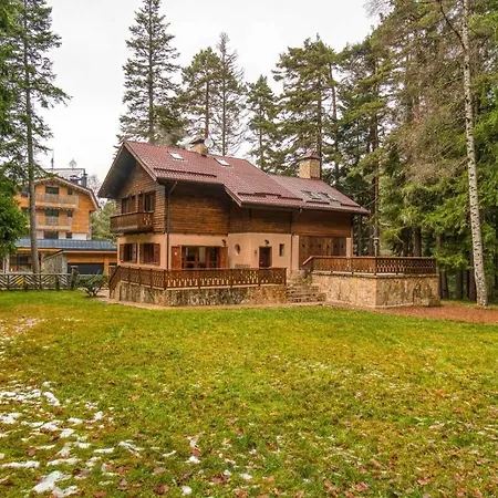 Mountain & Luxury *
