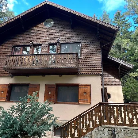 Mountain & Luxury