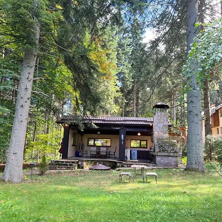 فيلة Mountain & Luxury بوروفتس