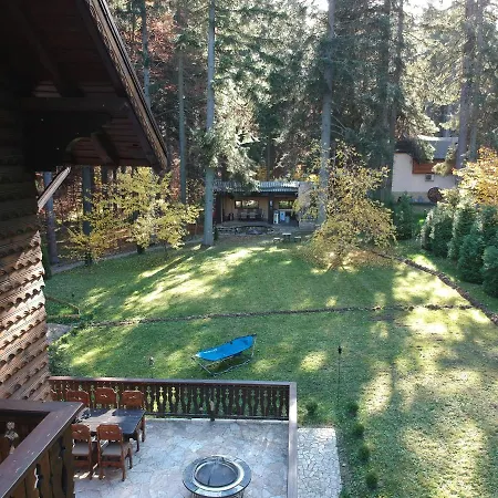 Willa Mountain & Luxury Borowec