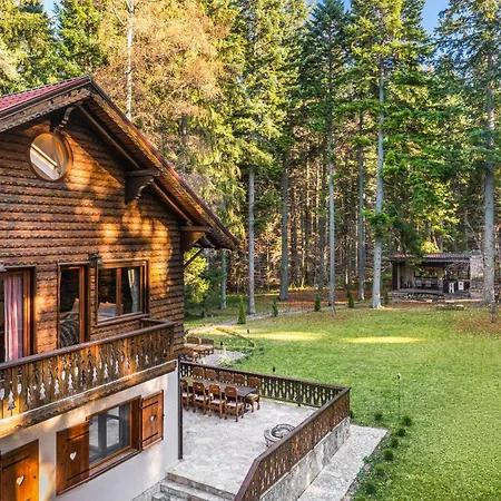 Willa Mountain & Luxury Borowec