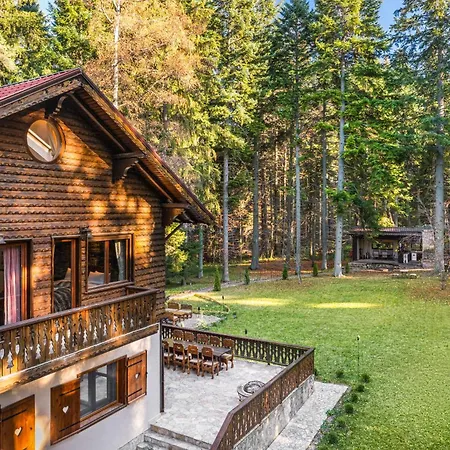 فيلة Mountain & Luxury بوروفتس