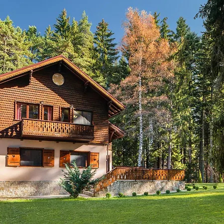 Mountain & Luxury