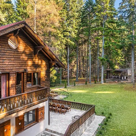 Mountain & Luxury * Borowec